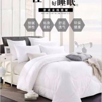 國(guó)欣加大加厚冬季被5斤棉花